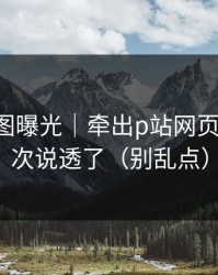 关键截图曝光｜牵出p站网页登录-这次说透了（别乱点）