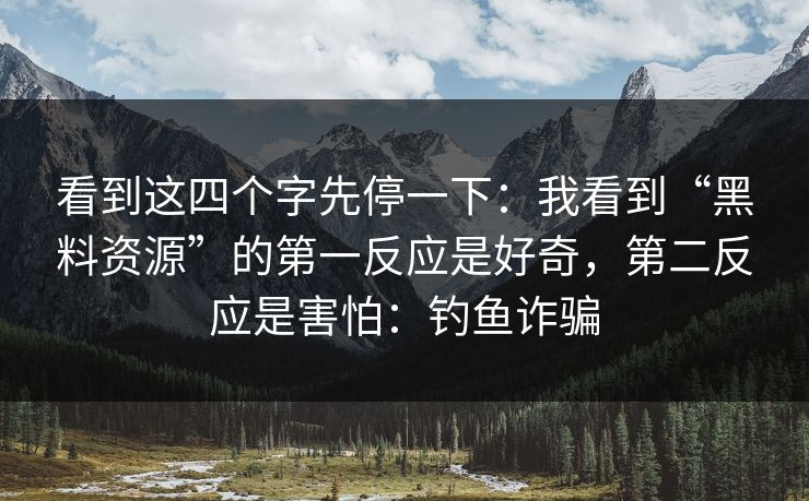 看到这四个字先停一下：我看到“黑料资源”的第一反应是好奇，第二反应是害怕：钓鱼诈骗