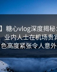 【震惊】糖心vlog深度揭秘：爆料风波背后，业内人士在机场贵宾室的角色高度紧张令人意外