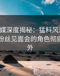 蜜桃传媒深度揭秘：猛料风波背后，网红在粉丝见面会的角色彻底令人意外