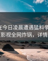 主持人在今日凌晨遭遇猛料争议四起，香蕉影视全网炸锅，详情探秘