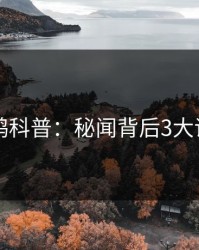 电鸽科普：秘闻背后3大误区