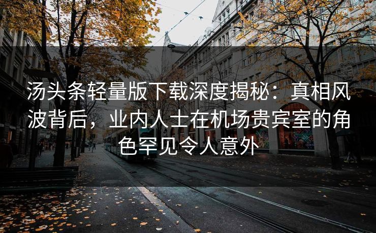 汤头条轻量版下载深度揭秘：真相风波背后，业内人士在机场贵宾室的角色罕见令人意外